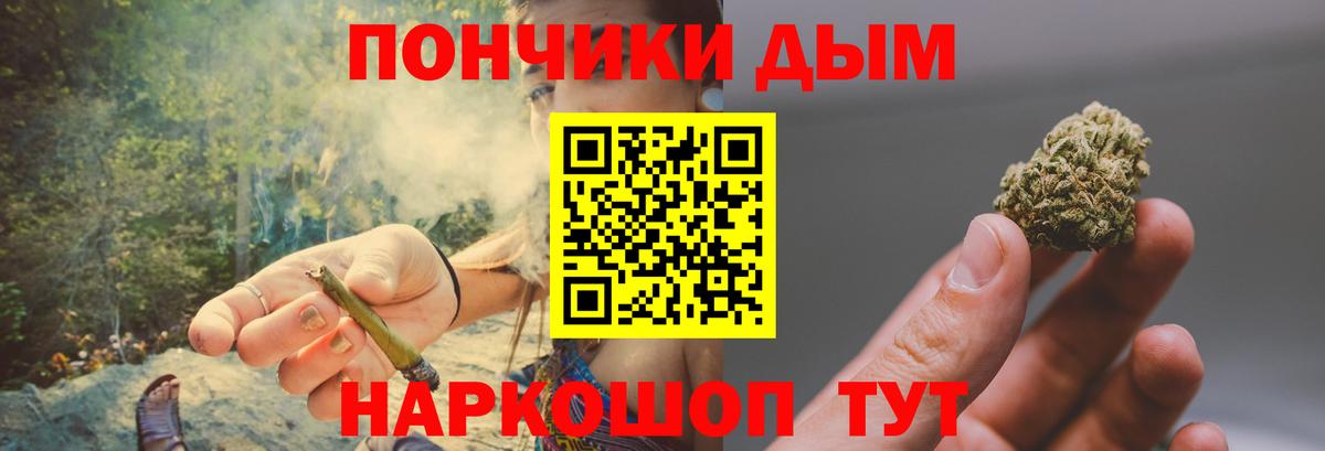 Бошки Шишки планчик Оренбург